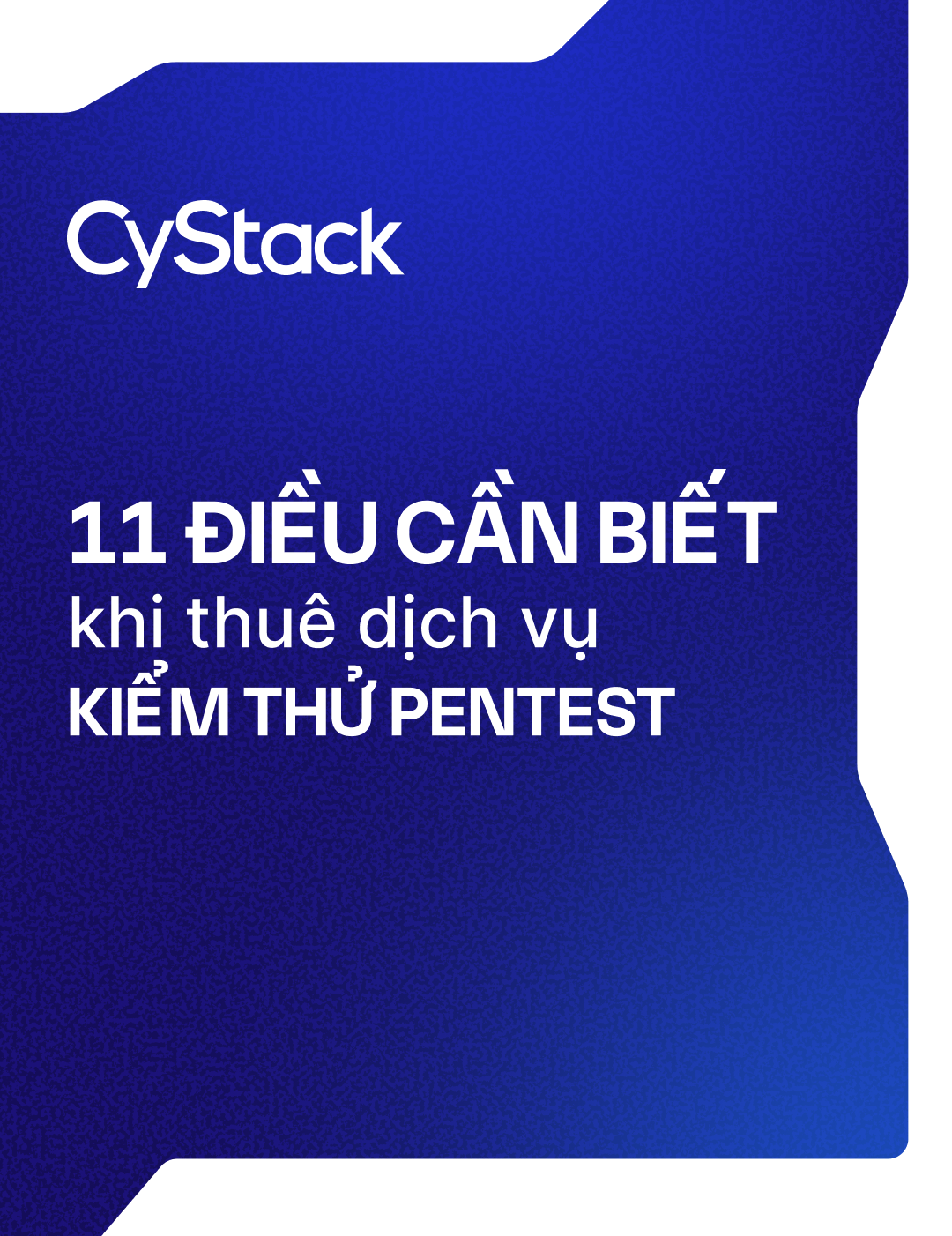 11 điều cần biết khi thuê dịch vụ kiểm thử pentest